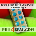 Effets Secondaires De La Gelée Orale Kamagra new09